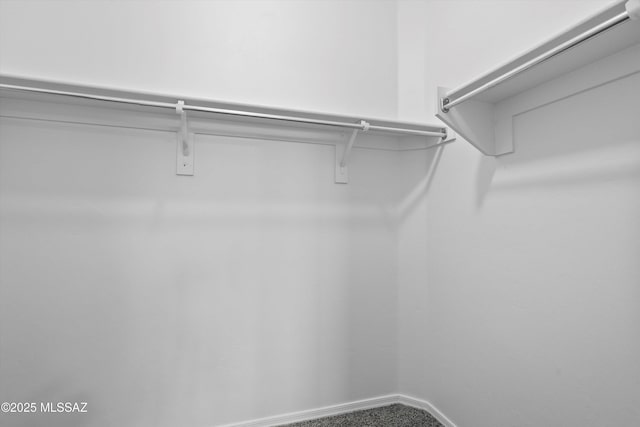 spacious closet with carpet