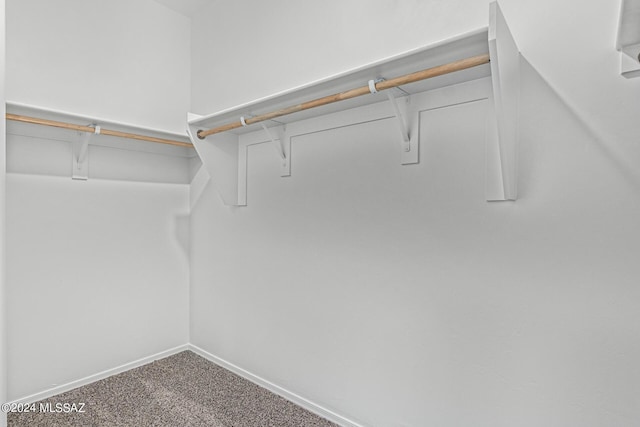 walk in closet with carpet