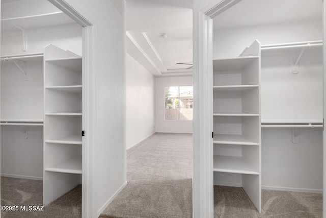 spacious closet with carpet flooring