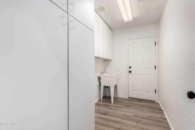 washroom featuring cabinets and light hardwood / wood-style floors