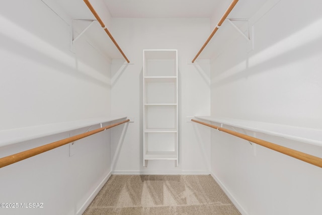 spacious closet with light colored carpet