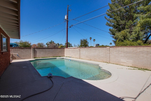 view of swimming pool featuring a patio area, a fenced backyard, and a fenced in pool