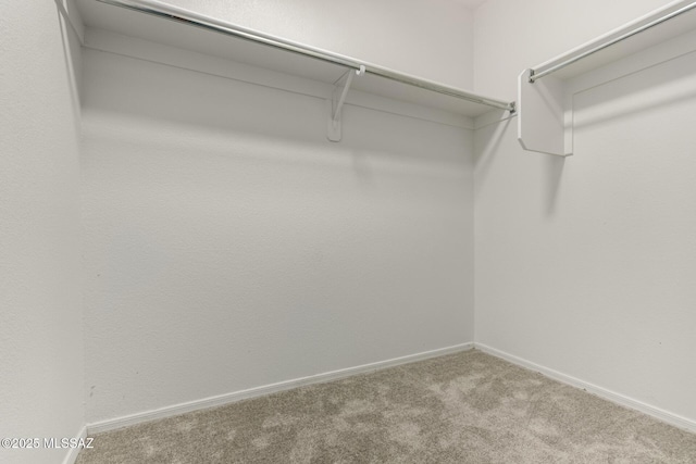 spacious closet featuring light colored carpet