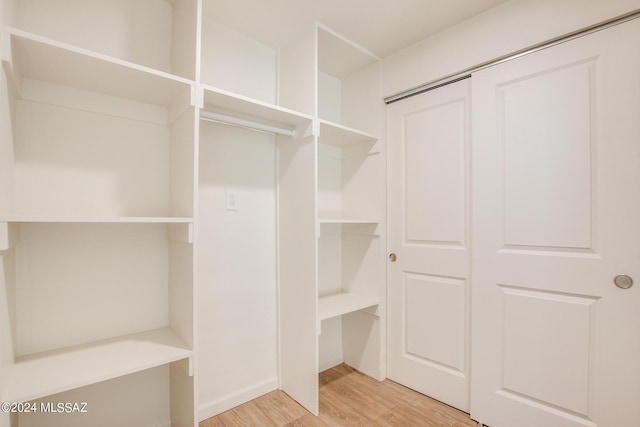 spacious closet with wood-type flooring