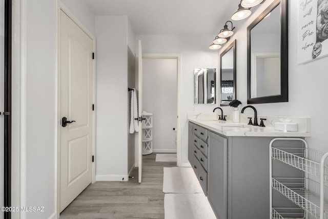 bathroom with hardwood / wood-style flooring and vanity