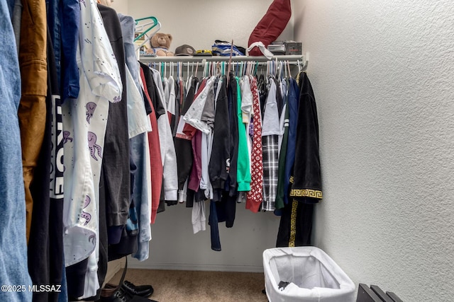 walk in closet featuring carpet flooring