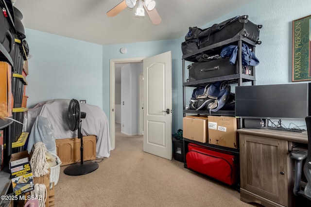 storage area with ceiling fan