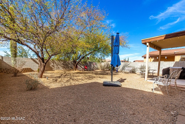 view of yard with a patio area