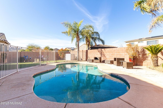 view of swimming pool with a patio