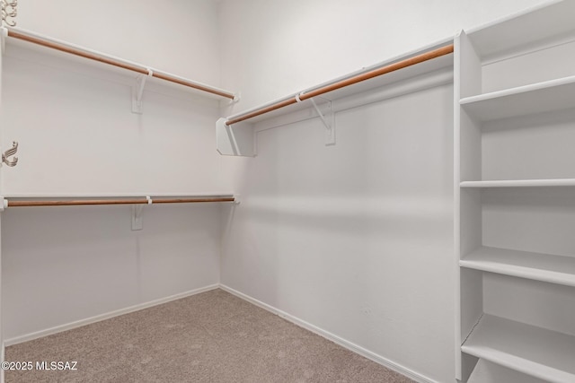 walk in closet featuring carpet floors