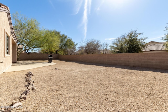 view of yard featuring a patio area