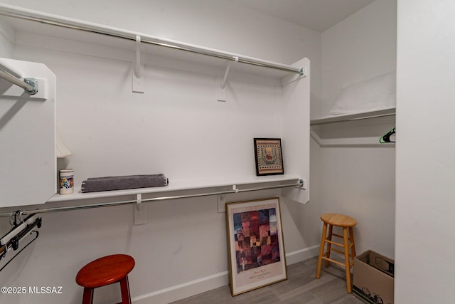 spacious closet featuring wood-type flooring