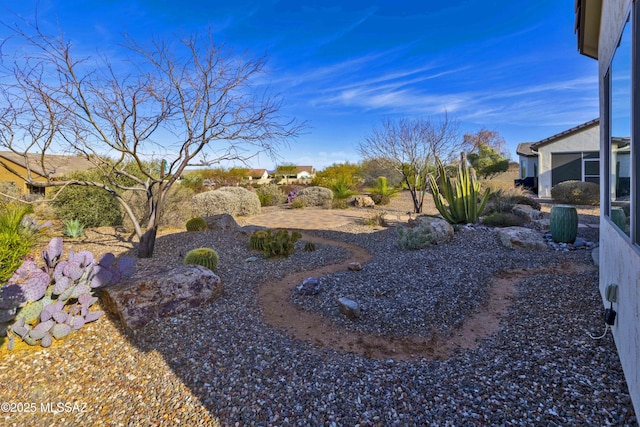 view of yard featuring a patio