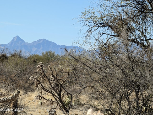 Listing photo 3 for 15501 Calvin Ave Unit 8, Tucson AZ 85736