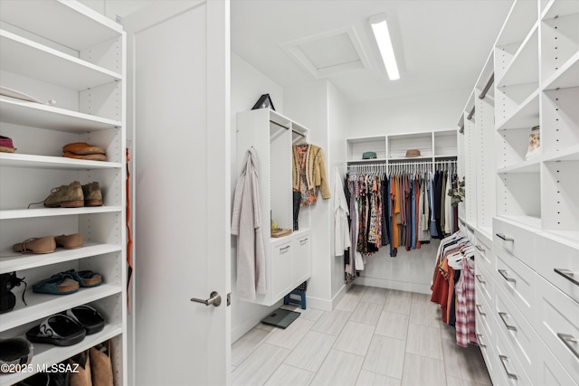 view of spacious closet