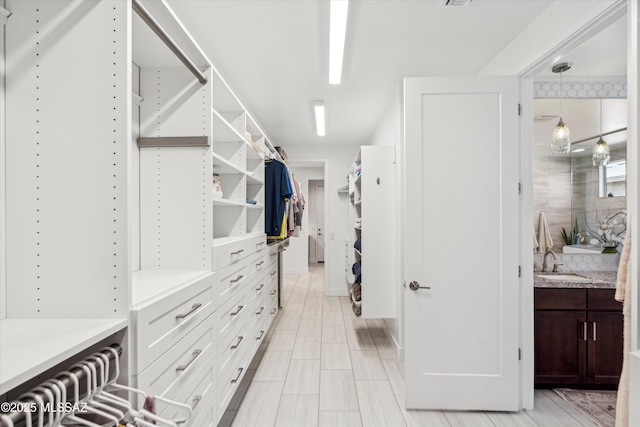 spacious closet with sink