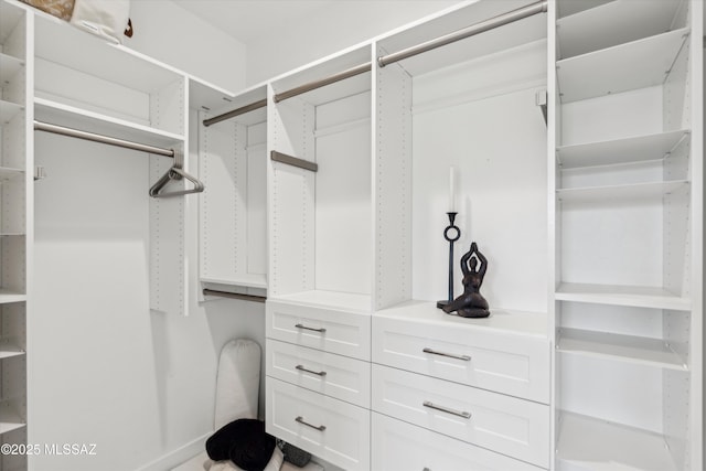 view of spacious closet