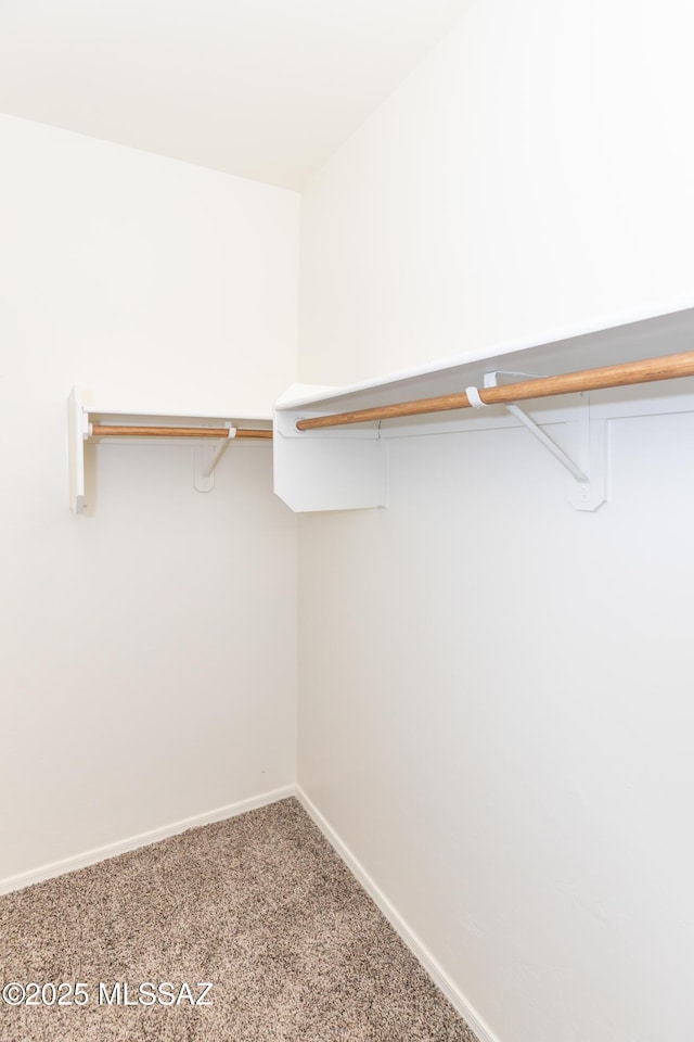 spacious closet featuring carpet flooring