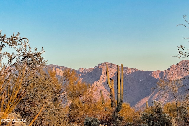 11880 N Shannon Rd Unit 1-5, Tucson, AZ 85742