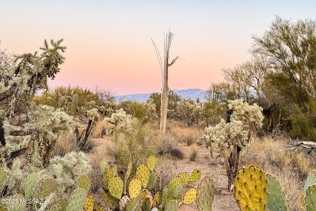 11880 N Shannon Rd Unit 1-5, Tucson, AZ 85742