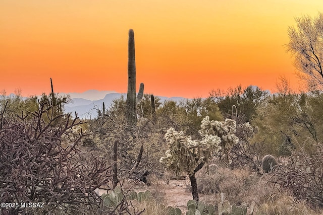 11880 N Shannon Rd Unit 1-5, Tucson, AZ 85742