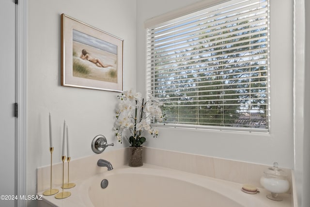 bathroom with a bathtub