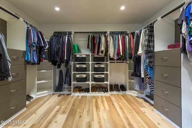 walk in closet with wood finished floors