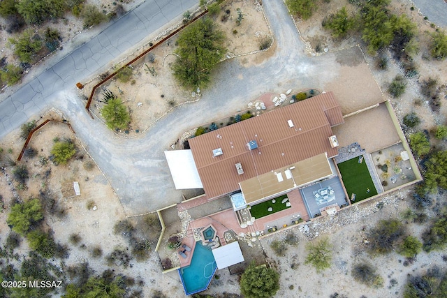 bird's eye view