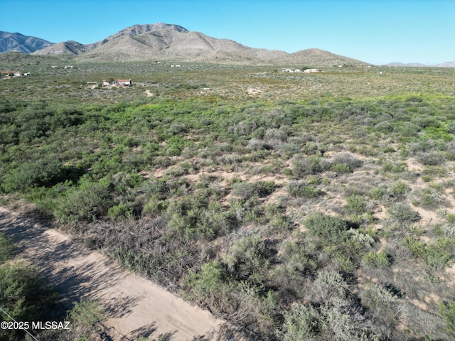 Listing photo 2 for LotE W Dragoon Road, Dragoon AZ 85609