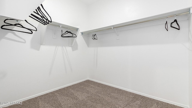 spacious closet with carpet floors