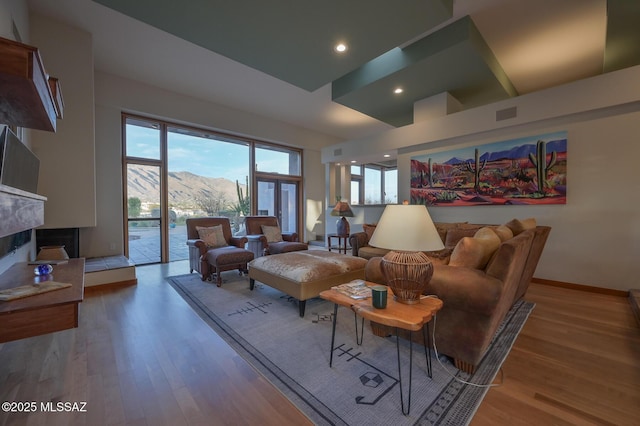 living room featuring hardwood / wood-style flooring, a mountain view, and a fireplace