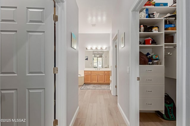 bathroom with a walk in closet, vanity, and wood finished floors