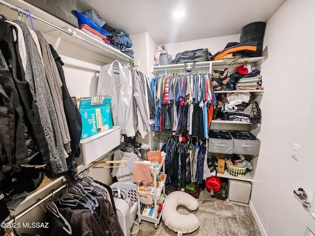 walk in closet with carpet flooring