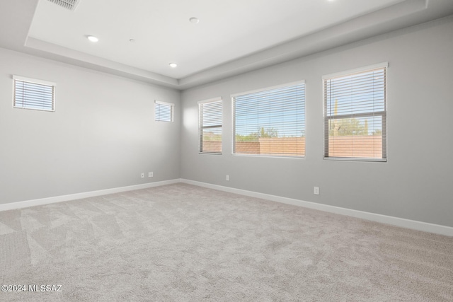 carpeted spare room featuring a tray ceiling and a wealth of natural light