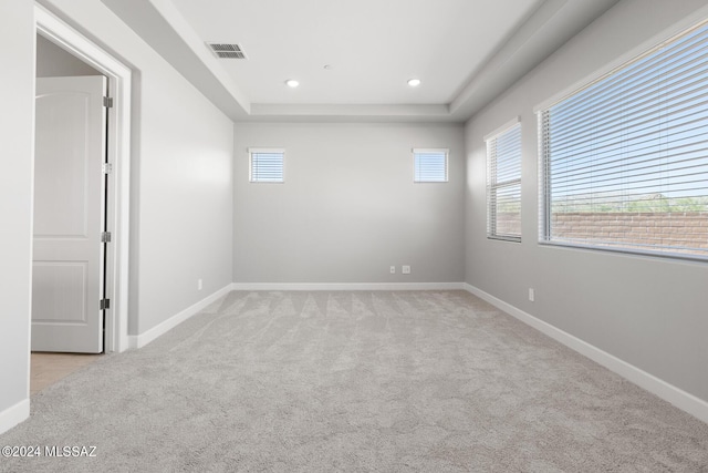 carpeted spare room featuring a raised ceiling and a healthy amount of sunlight