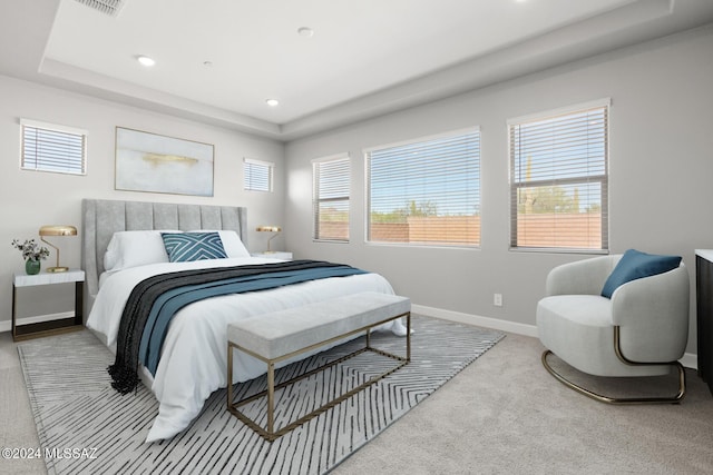 bedroom featuring a raised ceiling and light carpet