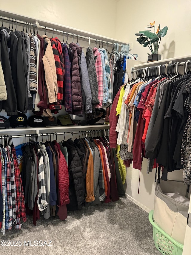 walk in closet featuring carpet floors