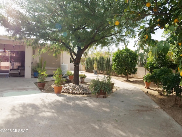 view of yard featuring fence and a patio area