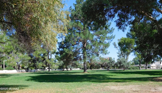 surrounding community featuring a yard