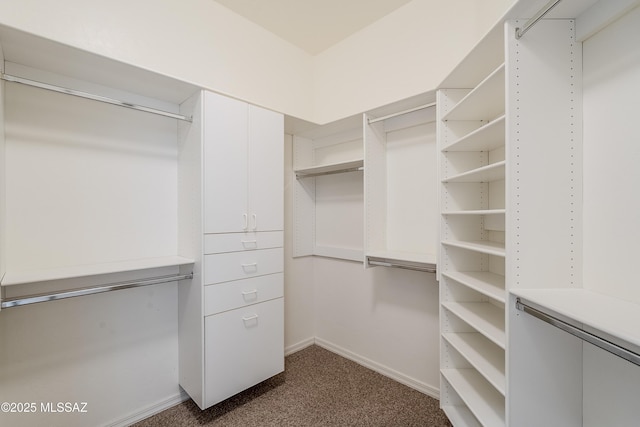 walk in closet featuring dark carpet