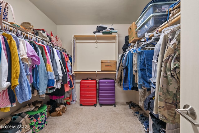 spacious closet with carpet