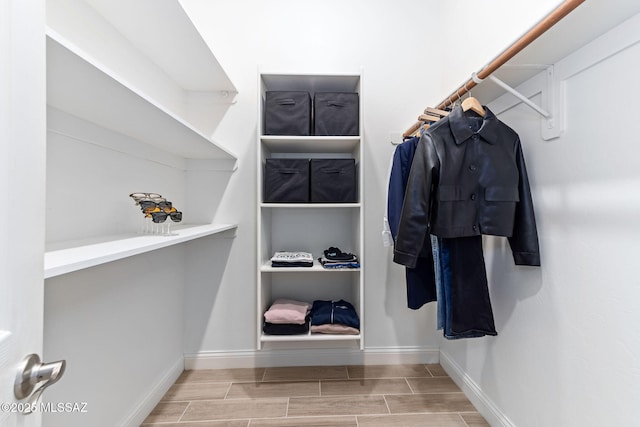 view of spacious closet