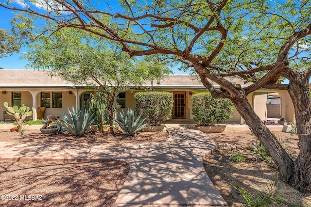 ranch-style home with a porch and stucco siding