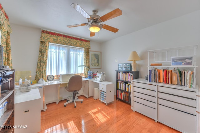 office featuring a ceiling fan and light wood-style floors