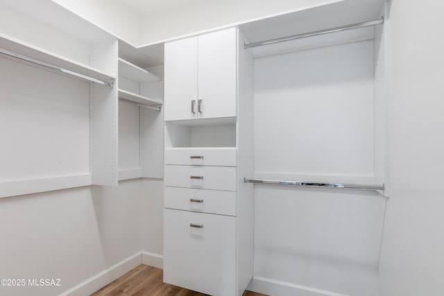 spacious closet featuring hardwood / wood-style flooring