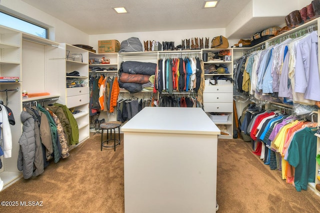 spacious closet featuring carpet