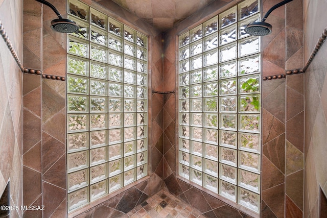 bathroom with a shower