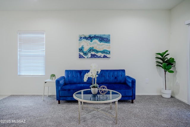 living area featuring carpet