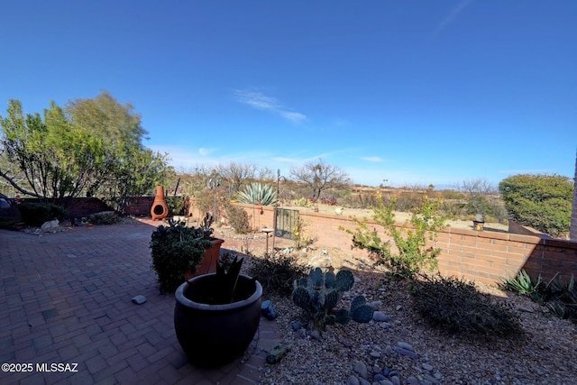 view of yard with a patio