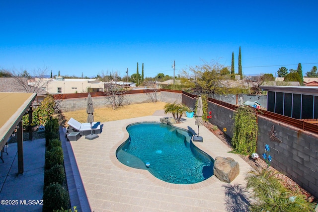 view of swimming pool featuring a fenced in pool, a fenced backyard, and a patio